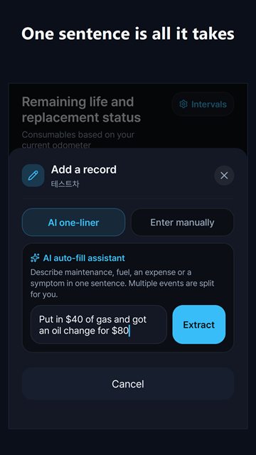 Adding a record by typing one sentence